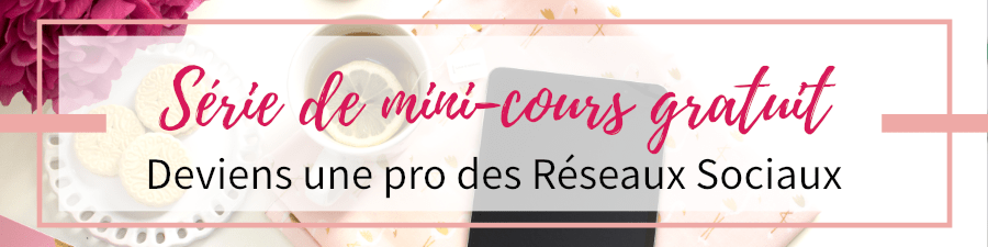 mini cours Deviens une pro des réseaux sociaux